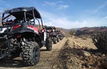 Buggy cfmoto 1000 in Agadir 