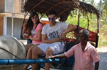 Kandy Sigiriya Day Trip by tuk,tuk/car/van