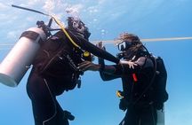 Incredibly Fun 2-Tank Boat Dive from Waikiki -Beginners Welcome