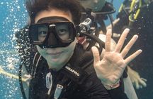 Incredibly Fun 2-Tank Boat Dive from Waikiki -Beginners Welcome