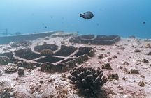 Certified Divers: Best 2-Tank Wrecks & Reef Boat Dive All Inclusive From Waikiki
