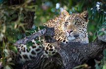 2 Days Ruaha National park
