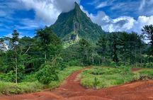 Half-Day Tour of Moorea Island in a Small Group