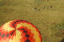 Safari Flight 