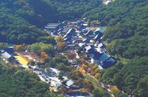 UNESCO Tongdosa Temple + Gourmet Eonyang Style Bulgogi Lunch