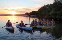 Guided Kayak Sunset Tour in Pelican Bay at Fort Myers Beach