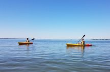 Guided Kayak Sunset Tour in Pelican Bay at Fort Myers Beach