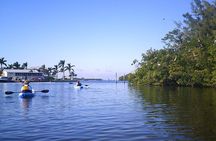 Guided Kayak Sunset Tour in Pelican Bay at Fort Myers Beach