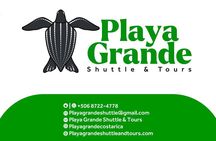 Beach Horseback Riding & Snorkel (Tamarindo, Potrero, Flamingo)