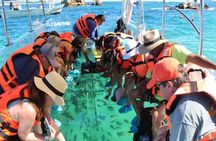 Clear Boat with City Tour