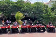 ATV Tour+Swimming Pigs bundle (Beach Break+lunch) Truly Amazing 