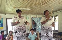 Coral Coast Sightseeing & Pottery Village Tour