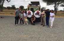 5-Day Ngorongoro Crater and Lake Manyara Safari from Arusha