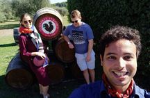 VIP Chianti, Brunello wine & Pienza with lunch From Siena