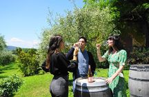 Small group Chianti Classico & Brunello wine region from Siena