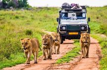  6-Day Unforgettable Tour in Tanzania