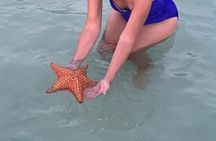 Grand Cayman - Bioluminescent Bay Tour
