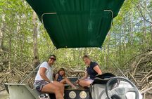 Mangrove Boat 