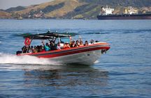 Super boat ride to Castelhanos beach