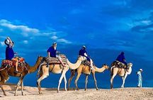 Sunset Camel Ride In Desert From Marrakech 