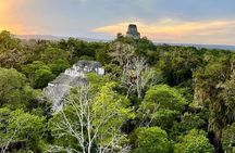 Admire The Sunrise In Tikal - Private Tour From Flores