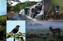 Kandy & Nuwaraeliya Two Day Tour
