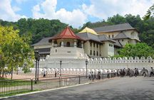 Kandy & Nuwaraeliya Two Day Tour