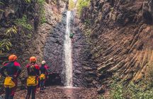 Canyoning with Waterfalls in the Rainforest - Small Groups ツ