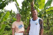 Land Combo Mud Bath Waterfalls Pitons Chocolate and Rum