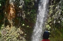 Land Combo Mud Bath Waterfalls Pitons Chocolate and Rum