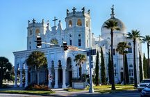All day Galveston Tour From Houston with Tall Ship Elissa & Dolphin Watch