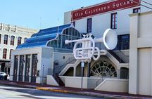 All day Galveston Tour From Houston with Tall Ship Elissa & Dolphin Watch