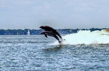 All day Galveston Tour From Houston with Tall Ship Elissa & Dolphin Watch
