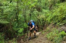 Full-Day Vara Blanca Hike Tour