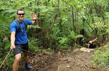 Full-Day Vara Blanca Hike Tour
