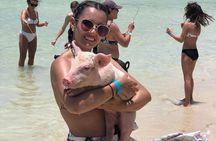 ATV Tour+Swimming Pigs bundle (Beach Break+lunch) Truly Amazing 