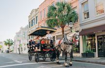 Charleston’s Old South Carriage Historic Horse & Carriage Tour