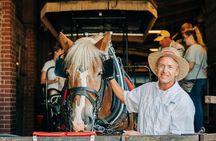 Charleston’s Old South Carriage Historic Horse & Carriage Tour