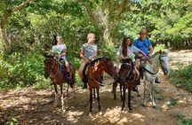 Half-Day Horseback Riding Tour in El Limón