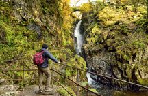 10 Lakes Winter Scenic Tour - Expert Guide - Photo Stops - Magnificent Locations