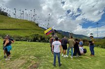 Cocora Valley Tour and Coffee Farms