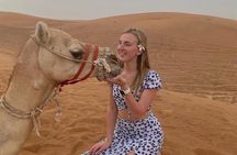Private Evening Desert Safari: Sandboarding Camel Ride BBQ Dinner