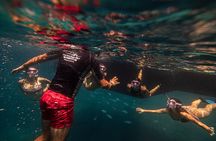 4-Hour Sailing Tour of Lobos Island from Fuerteventura