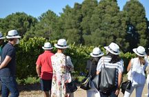 Guided Winery tour and Wine tasting in Pontevedra