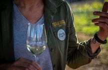 Guided Winery tour and Wine tasting in Pontevedra