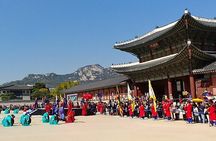 Free style private Tour(Essence of Seoul city or DMZ)