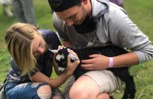 Haute Goat Shmurgle in Ontario