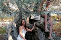 Rethymnon Olive Tree Sponsorship Protect and Plant Tour