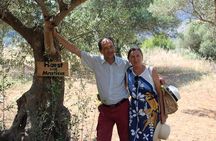 Rethymnon Olive Tree Sponsorship Protect and Plant Tour