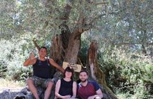 Rethymnon Olive Tree Sponsorship Protect and Plant Tour